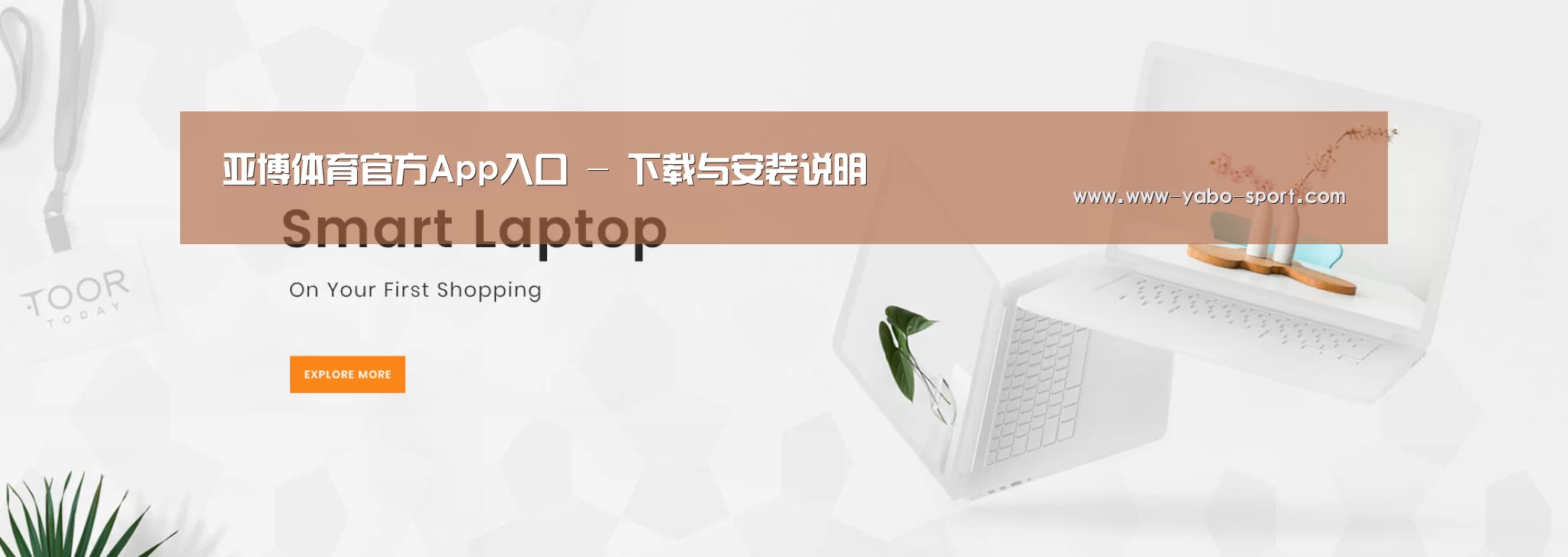 某某网络科技有限公司