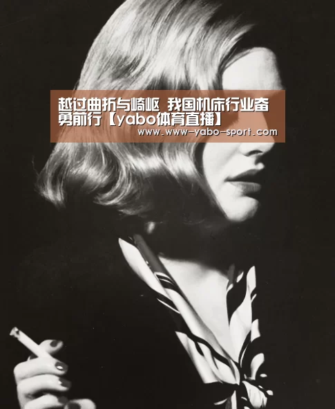 越过曲折与崎岖 我国机床行业奋勇前行【yabo体育直播】(图3) yabo体育官网