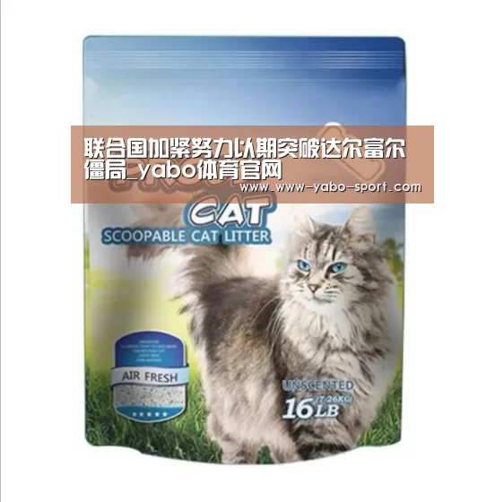 联合国加紧努力以期突破达尔富尔僵局_yabo体育官网(图3) yabo体育